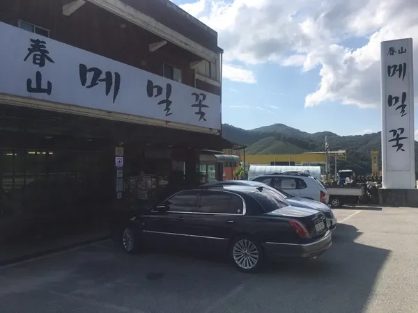 춘산메밀꽃