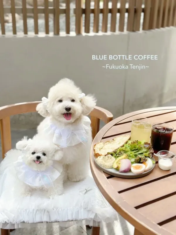 Blue Bottle Coffee Shinsaibashi Cafe 사진 5