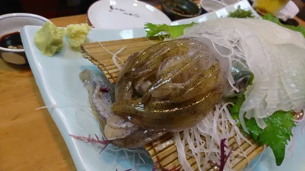 캇포 요시다 사진 2