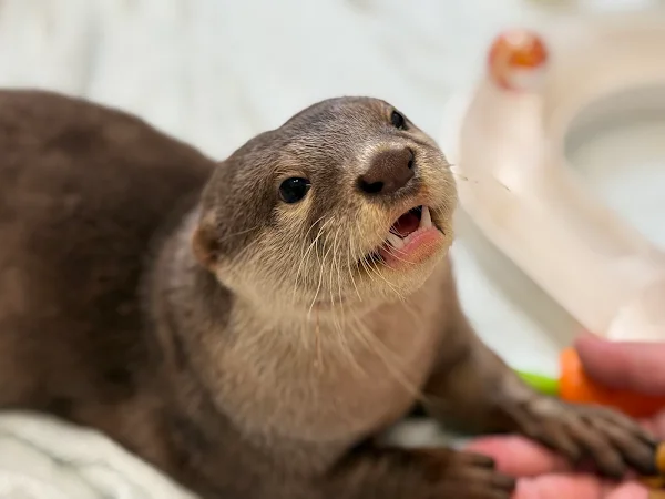 LOUTRE(ルートル)大阪千日前店