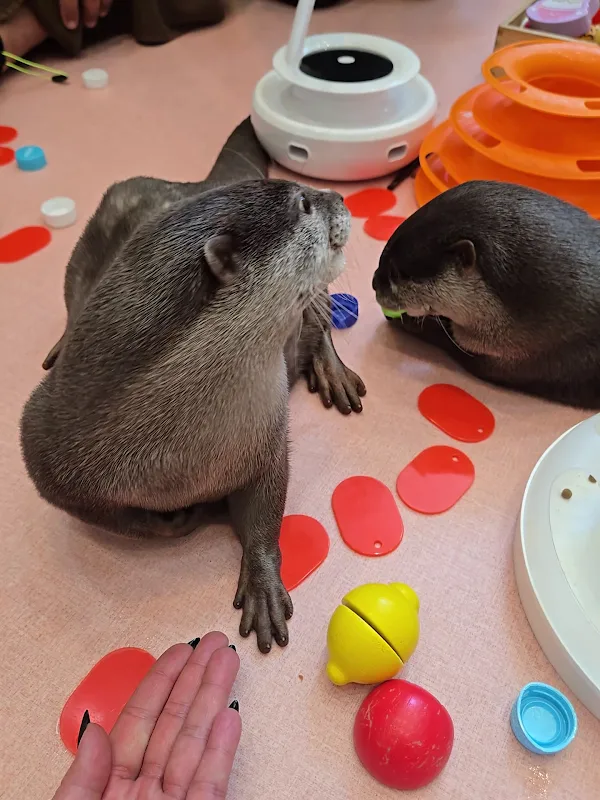 LOUTRE(ルートル)大阪千日前店 사진 2