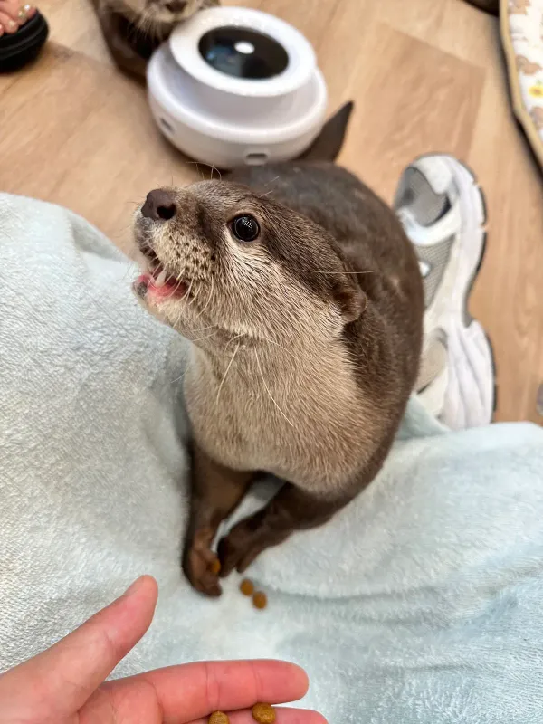 LOUTRE(ルートル)大阪千日前店 사진 3