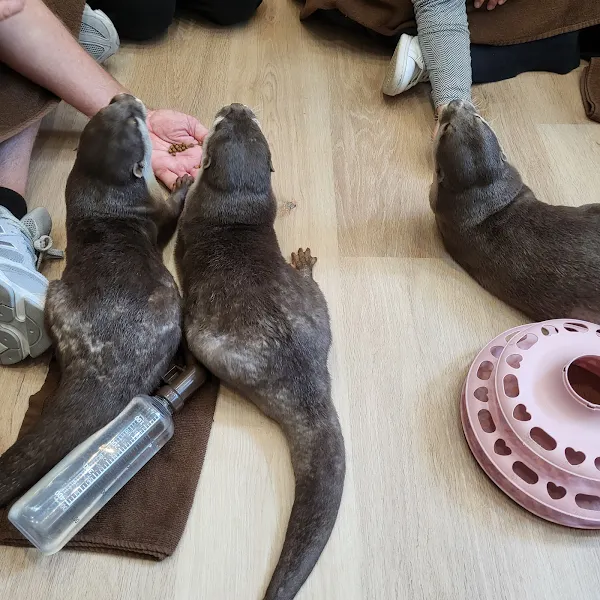 LOUTRE(ルートル)大阪千日前店 사진 5