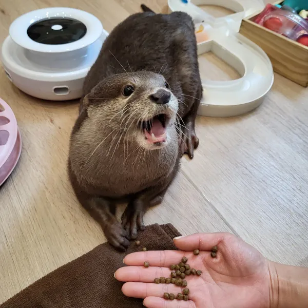 LOUTRE(ルートル)大阪千日前店の写真3