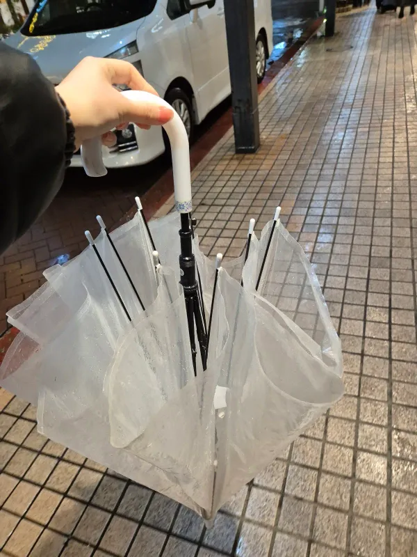 쿠루미 사진 5