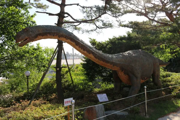덕소자연사박물관 사진 2
