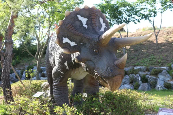 덕소자연사박물관 사진 4