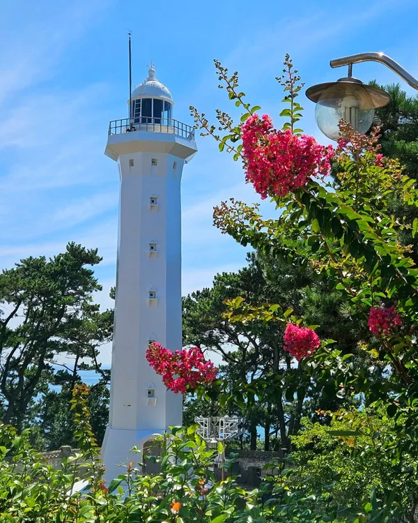 テワンアム公園の写真3
