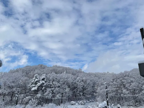 산골수목원 사진 2