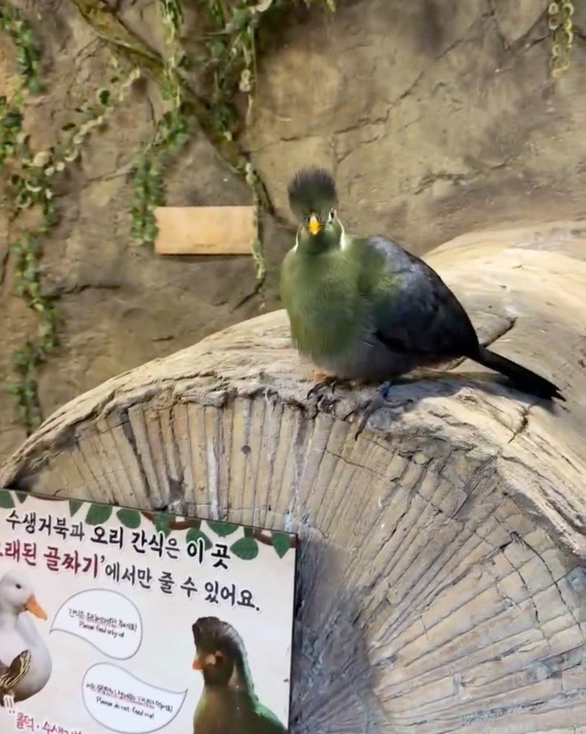 주렁주렁 동물원 하남점 사진 5