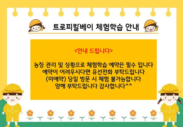 트로피칼베이 사진 2