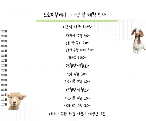 트로피칼베이 사진 3