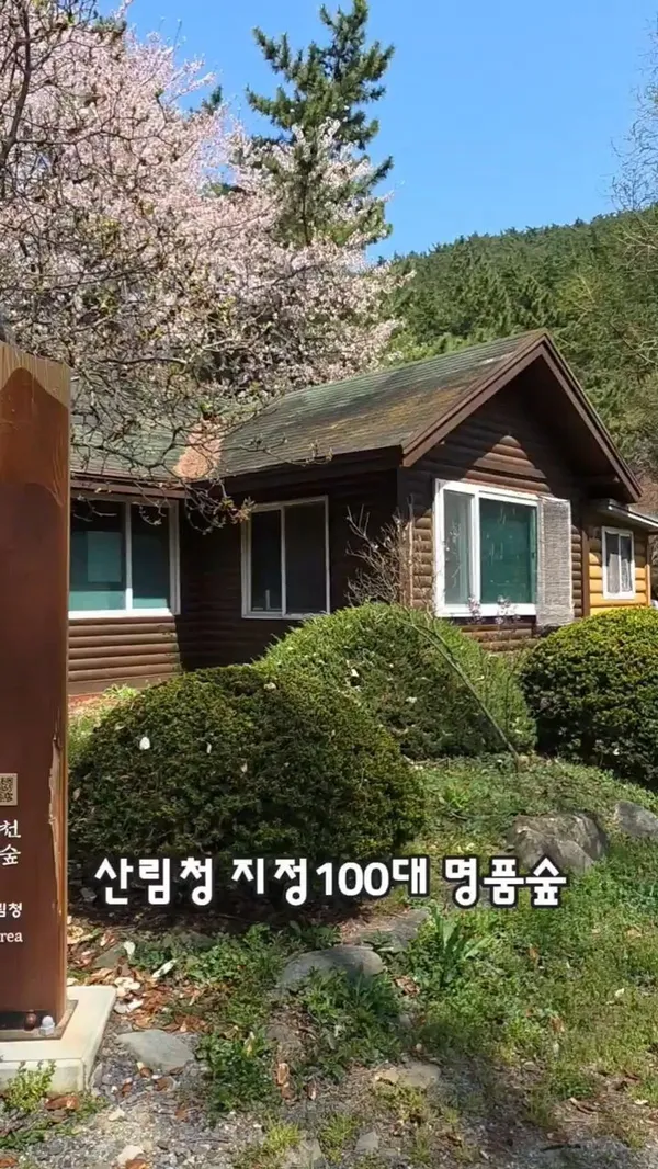희리산해송자연휴양림 사진 4