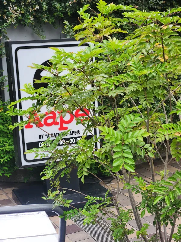 AAPE STORE 原宿 사진 5