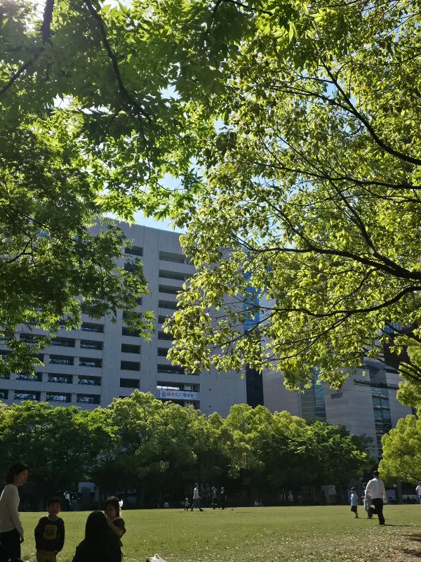 天神中央公園の写真4