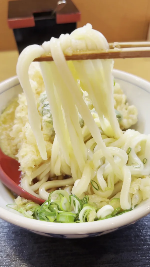 수타우동 테라야 사진 2