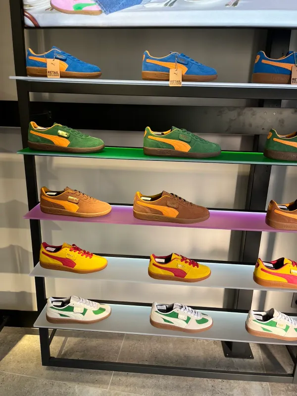 PUMA 사진 5