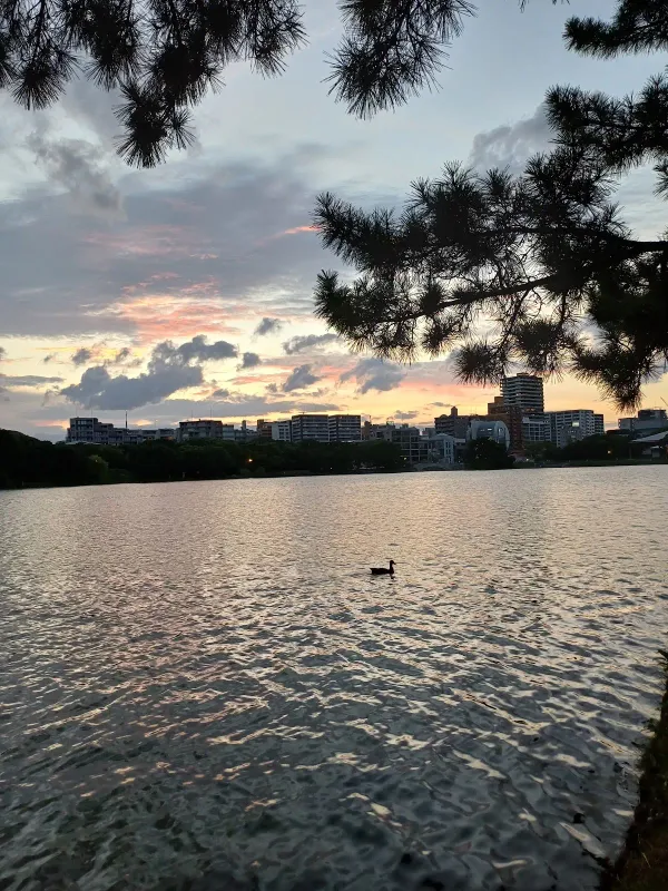 大濠公園浮見堂(旧福岡動植物園浮見堂)の写真4