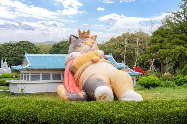 돌코리숲 사진 2