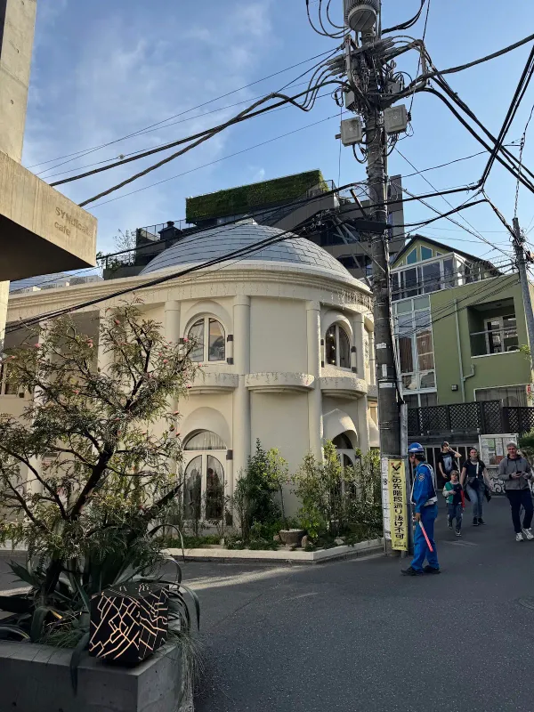CAT STREET. END 사진 4