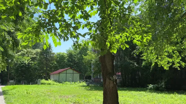 北海道大学の写真5