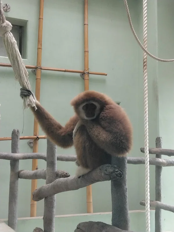 [2-10-3] 아시아 열대지역 동물 구역 (アジア熱帯の渓谷エリアの動物たち)