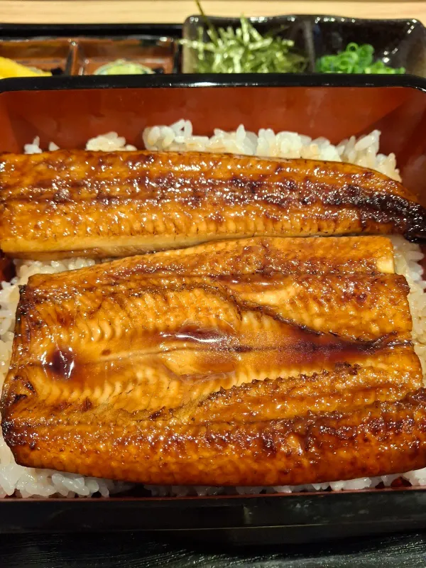 うなぎ処 陶華堂 사진 5