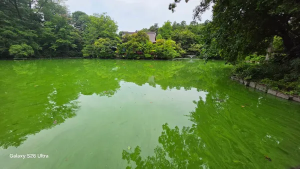井の頭恩賜公園の写真5