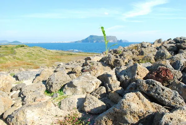 성산일출봉 사진 3