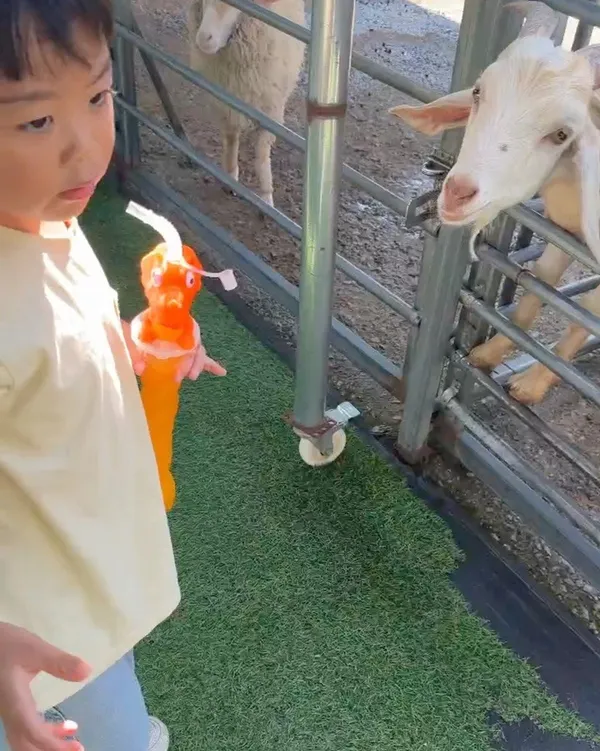 덕평공룡수목원 사진 5