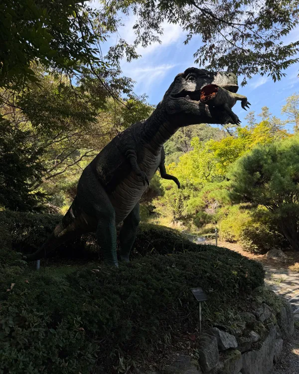 トクピョン恐竜樹木園の写真3