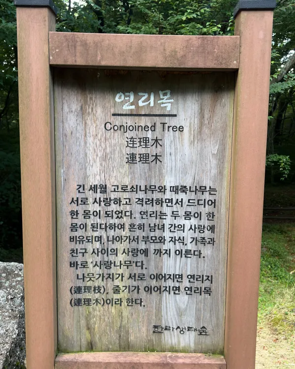 한라생태숲 사진 2