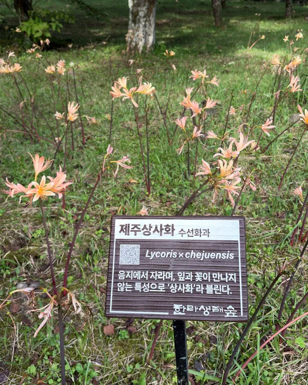 한라생태숲 사진 3