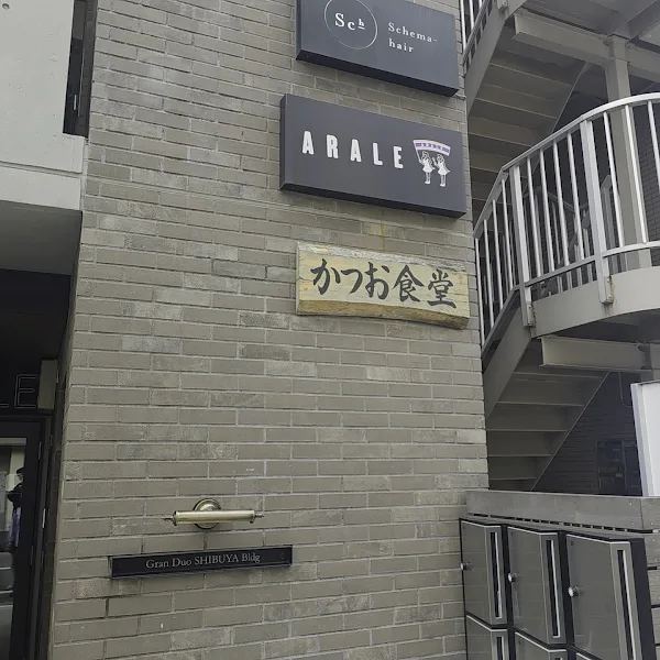 카츠오식당 사진 5