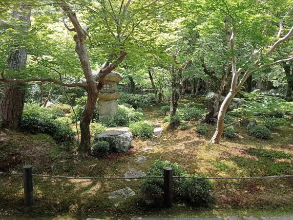 圓光寺の写真5
