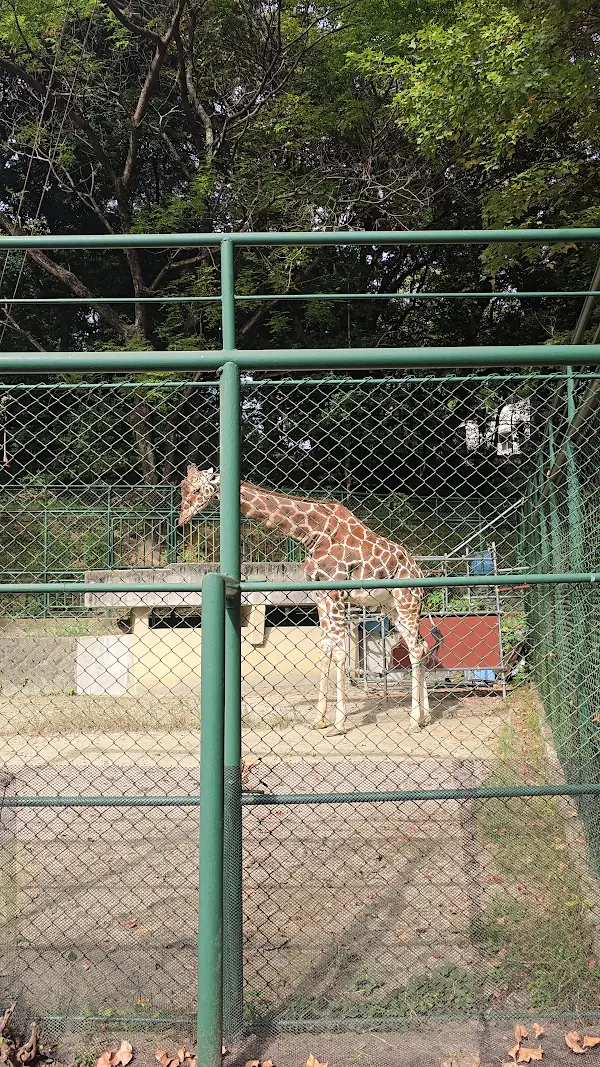 [2-10-2] 매표소, 동물정보관 (動物情報館 ZooLab) 사진 2