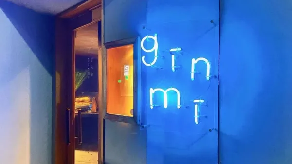 Ginmi
