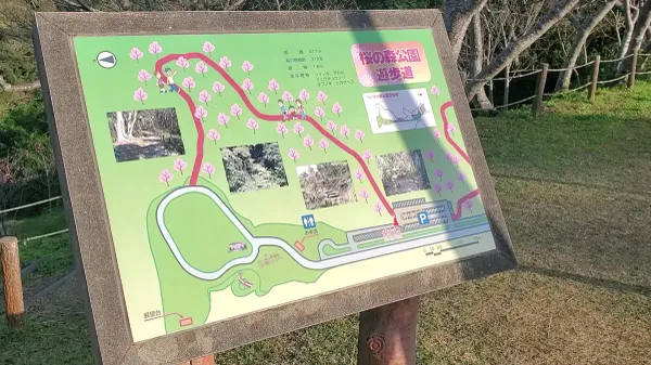 야에타케 사쿠라노모리 공원 사진 2