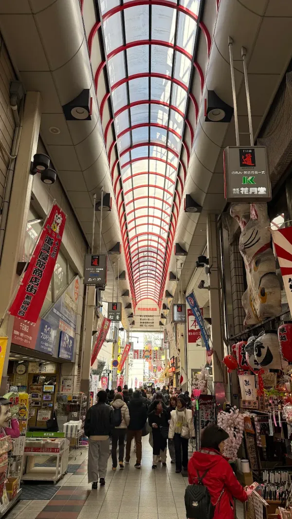 太星食器の写真2