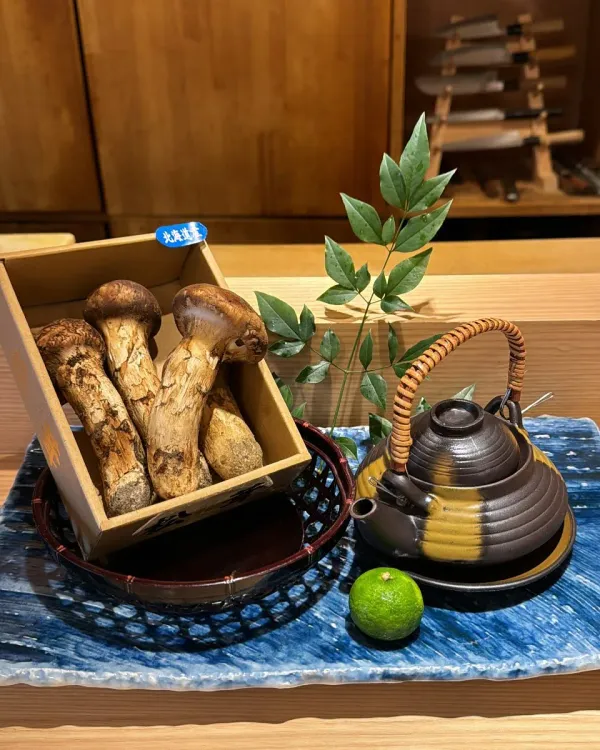 Shungiku 사진 3