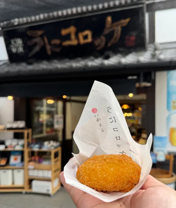 아마쿠사카이쇼쿠 사진 4