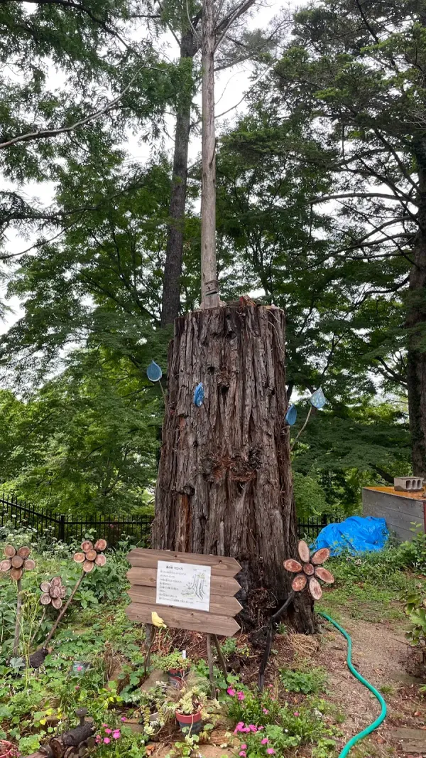 福岡市植物園の写真5