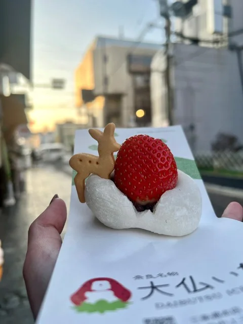 다이부츠 이치고 사진 4