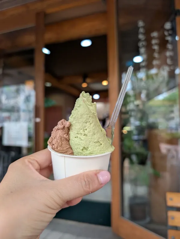 라콜토 사진 4