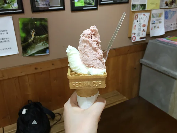 라콜토 사진 5