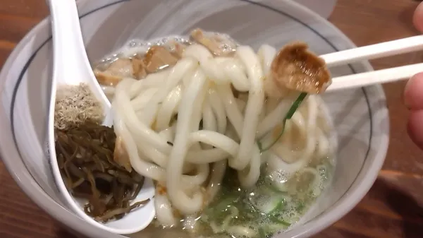 Ebisuya Kasu-udon 사진 2