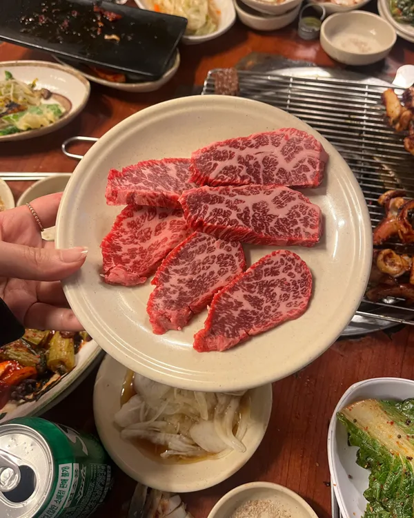 별들의고향