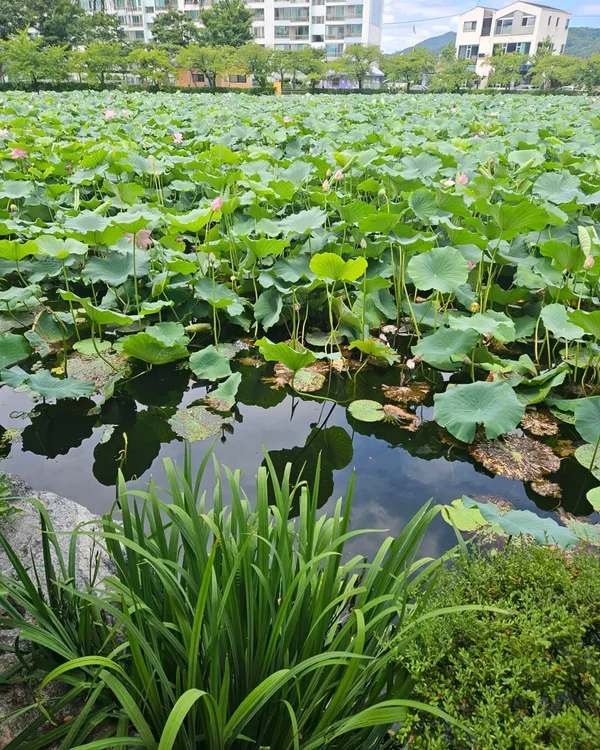 우리집순대