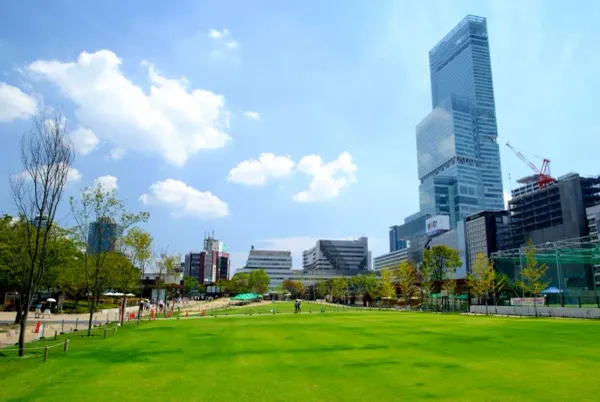 텐시바 사진 4