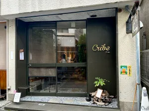Life Size Cribe